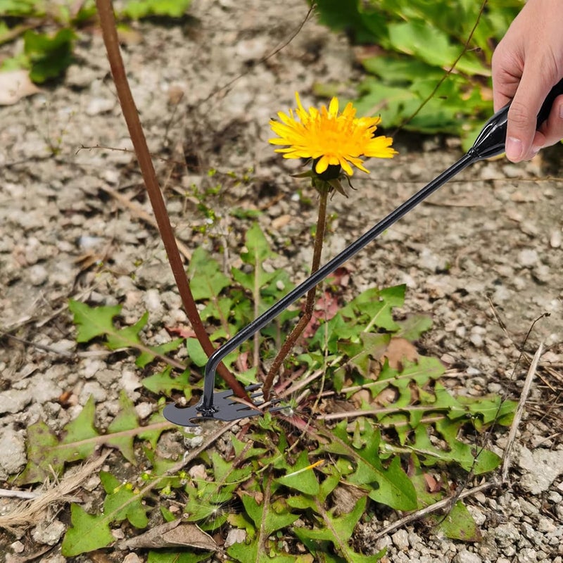 Young4us Hand Weeder Tool Garden Weeding Tool, Uprooting Weeding Tool Gardening Weeder Tool, Stainless Steel Gardening Tools for Yard and Garden, 3 Pcs - Image 5
